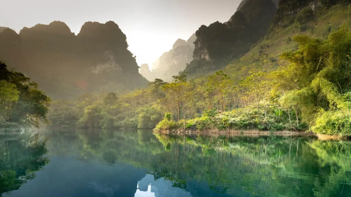 电子高标准高端